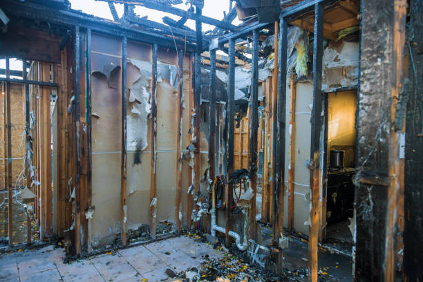 Professional Fire Damage Removal technician working in Riverside, PA